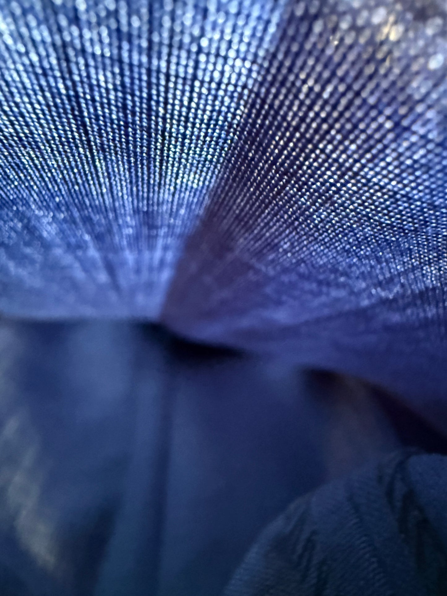 Pantaloni fresco lana blu cobalto anni '90 (NOS) - tg. 50