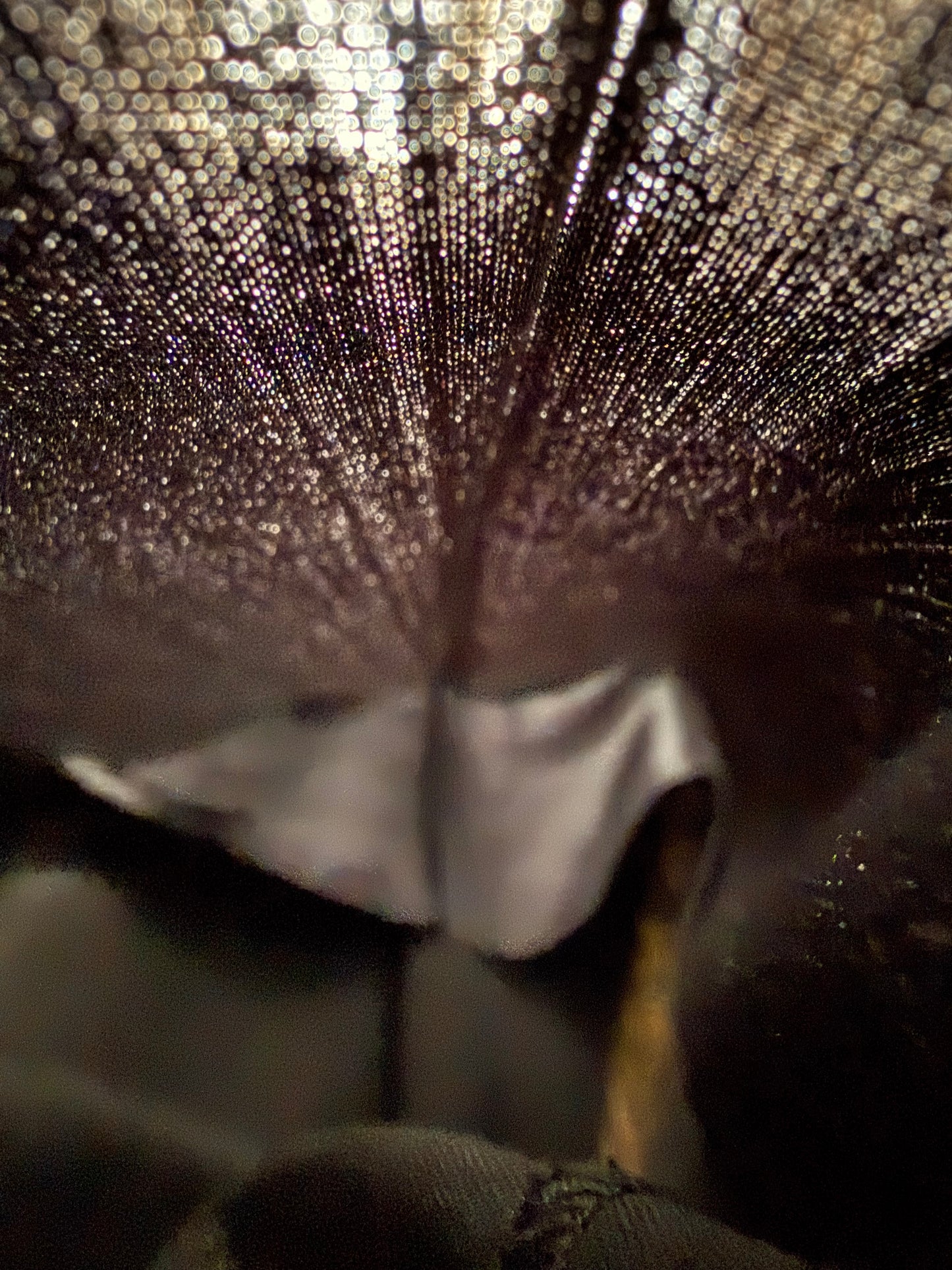 Smoking Ermenegildo Zegna in fresco lana anni ‘80/‘90 - tg. 48 drop 7